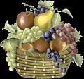 fruit (4)